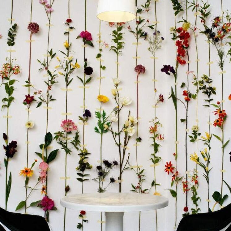 collegekiddigs's profile picture. The most unique college dorm and apartment designs you'll see