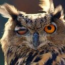 Chase Powell - @ChasePowell6 - Twitter