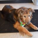 Doug Root - @QTRoot - Twitter