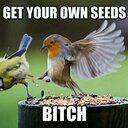 Dawn Middleton - @dmiddleton545 - Twitter