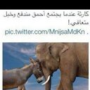 شاه بندر النحاسه (@0123456789az241) Twitter