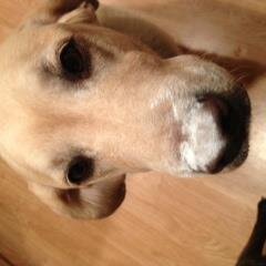 98pistol's profile picture. 