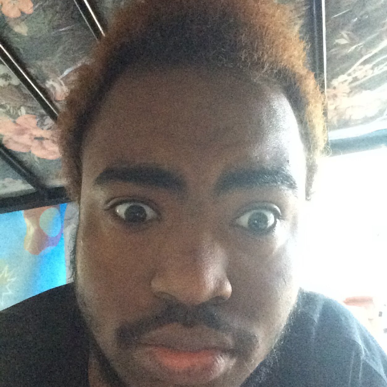 singer, dancer, model, cosmetologist, author, poet, song writer, youtube performer, philly native, , and the swagga goes