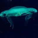 John Heard - @JohnOHeard - Twitter