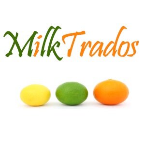 Business and Linguistic Solutions, Consulting, Import/Export Solutions