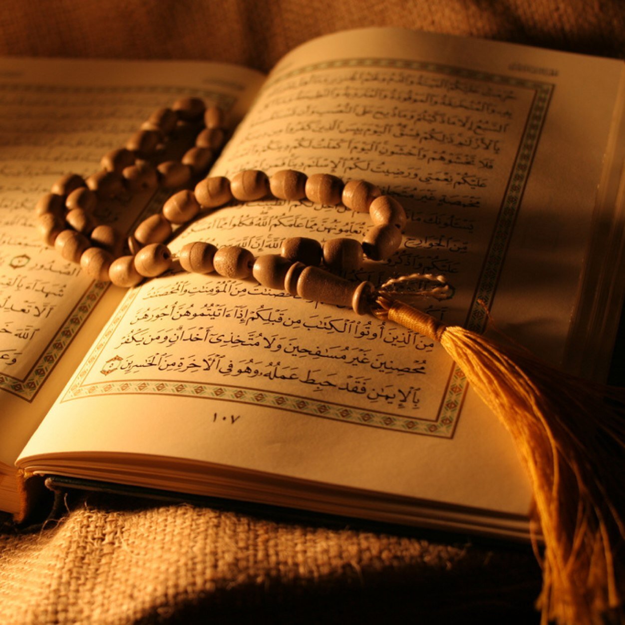 أنسآن ــ بسيط جدا أحب الصدق وأكره الف الدورانـــُ أحب أساعد كل الناس ُ .. عاشق (للهلالً ــ وبرشلونـهْ )❤ 73DE0440
