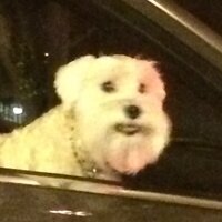 Sara G (@anniearuok) 's Twitter Profile Photo Sara G (@anniearuok) 's Twitter Profile Photo