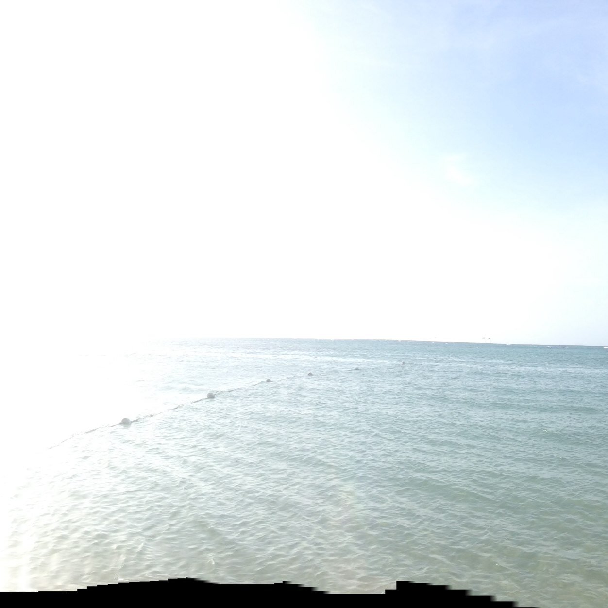 Becks__xxx's profile picture. 