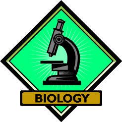 tinyBiology's profile picture. Tiny Courses in #Biology: knowledge nuggets and interesting facts about biology, #zoology, #botany, etc., curated by @tinyCourses.