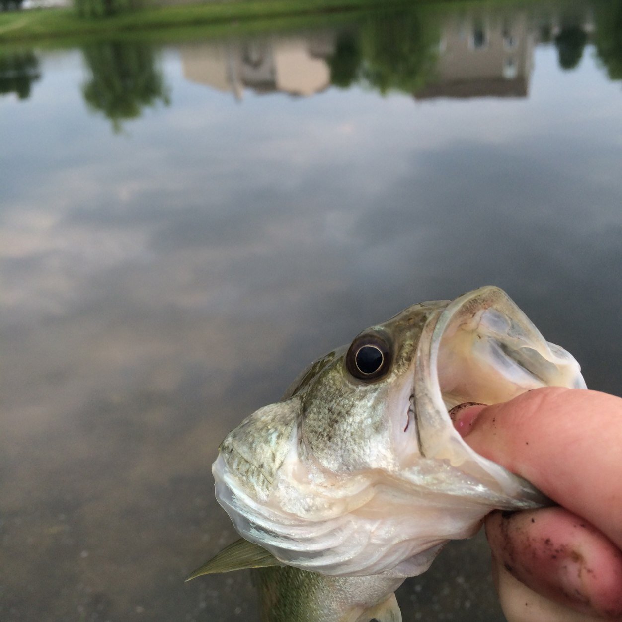 IndianaCountry2's profile picture. ❤️Love God❤️ 
Love Fishin