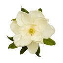 April Diamond - @AprilDiamond423 - Twitter