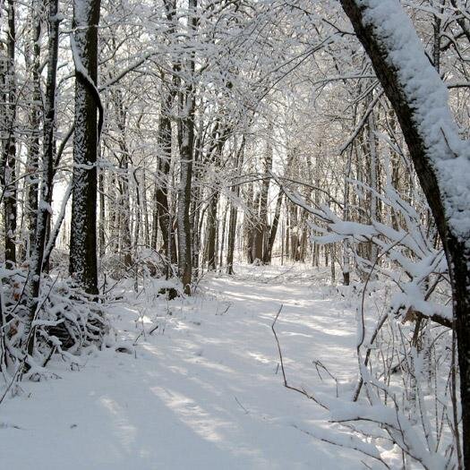 WestWalesFire's profile picture. Suppliers of premium kiln dried firewood