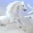 nalsharani5101's profile image
