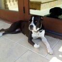 MARY JANE - @Mary_Jane_Cyrus - Twitter