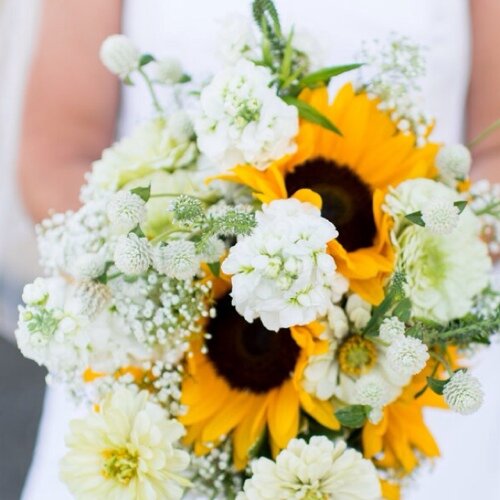 jmpruitt88's profile picture. Wife to @clayiub, 2nd grade teacher @PRE, book lover, runner, Girls on the Run Coach