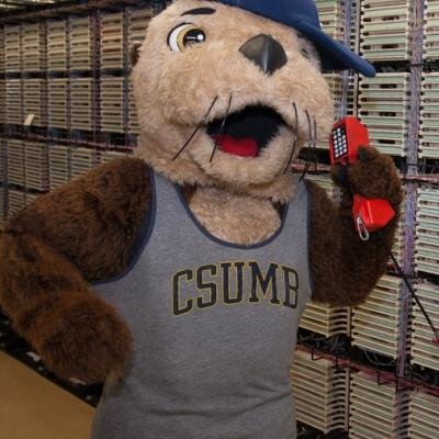 Net Ops @CSUMB maintains & operates all the WiFi and Wired Networking, TV and Internet Services in East Campus and 2 data centers here on campus.