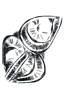 maticvajda's profile picture. 