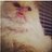 Paige_evans95's profile image