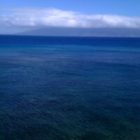RobFort (@rfort52) 's Twitter Profile