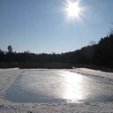 eyy311's profile picture. 