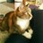 RebeccaVandale's profile image
