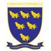 Cheriton Fitzpaine Cricket Club (@cheritonfitzcc) Twitter profile photo
