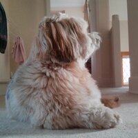 Matthew (@1mattyw) 's Twitter Profile