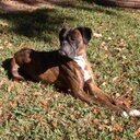 CDM713's profile picture. 