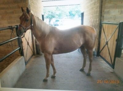 norka85111136's profile picture. 