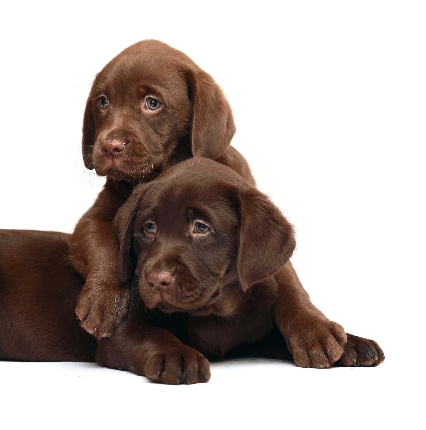 Yuminach's profile picture. メロガッパさんの合唱が大好きです❤️