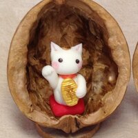 こるは (@kasuga_maru) 's Twitter Profile