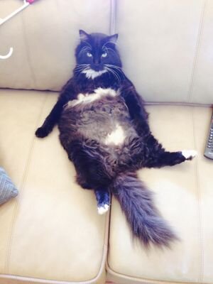 000000048197236's profile picture. W