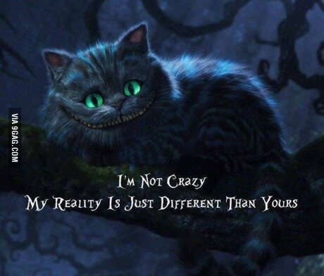 SgReid211's profile picture. Just a girl with a story to tell, well more like many, and I just wanted to share the experience.