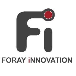 Foray Innovation is a business intelligence and consulting company that focuses on cross border consulting