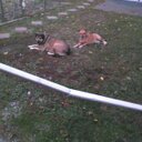 Lori Stilts - @lstilts69 - Twitter