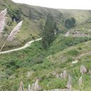 Luis Flavio  Peña  J - @LuisFlavioPeaJ - Twitter