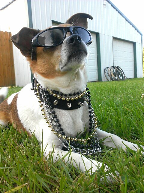 TrooTrick's profile picture. 