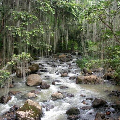 dalbin_guata's profile picture. 