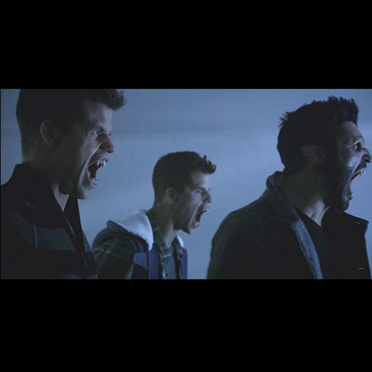 buticanstill's profile picture. @voidsniaz