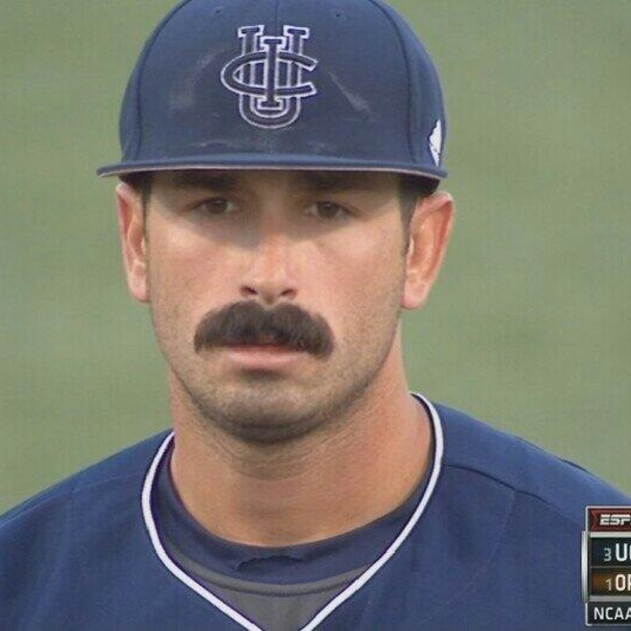 the stache the stache