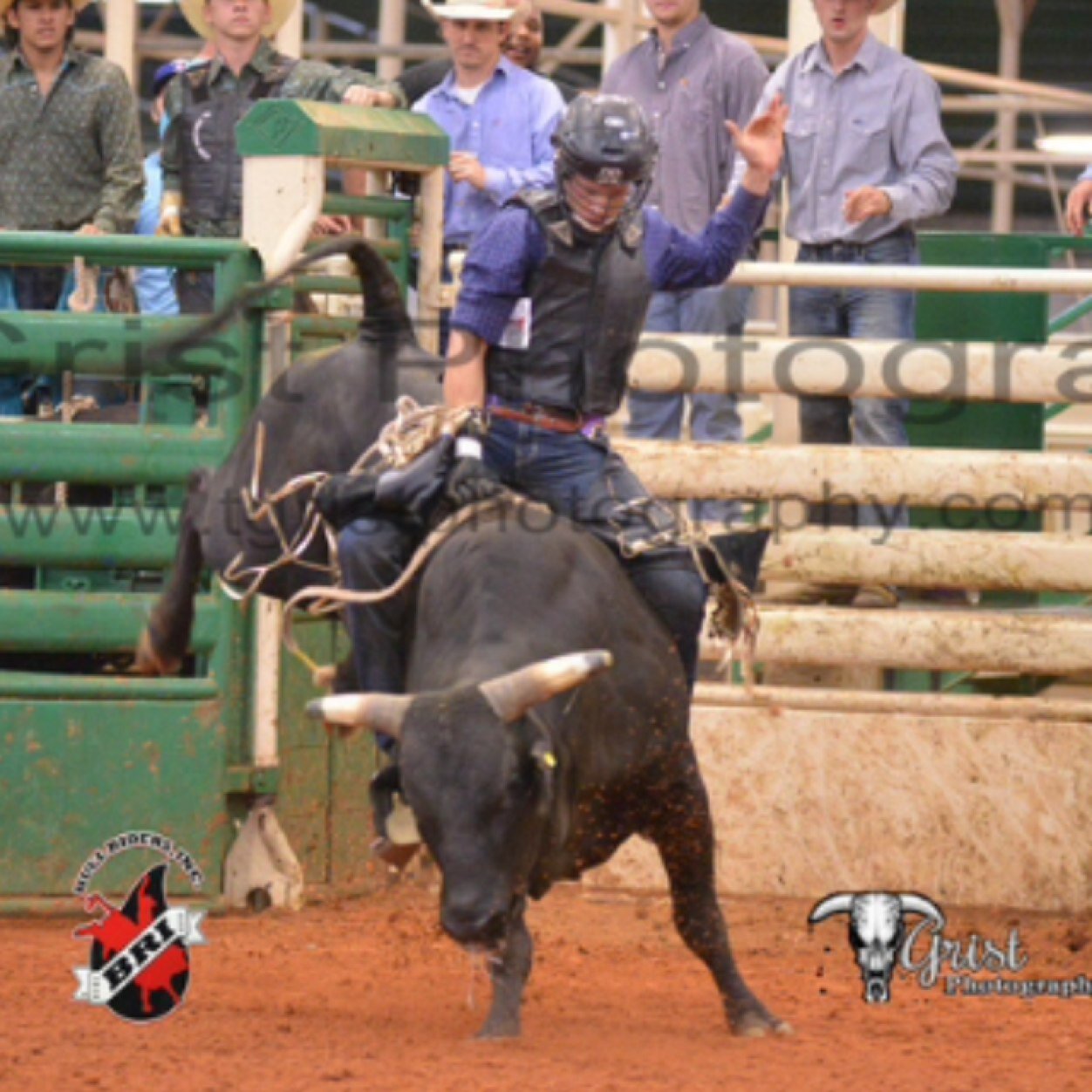 Justinmo11213's profile picture. 