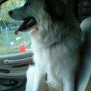 Lora Petty - @Lora_Petty - Twitter