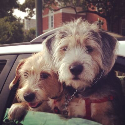 dosaga's profile picture. 