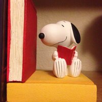 Bookworms Unite (@abbybookworm) 's Twitter Profile Photo