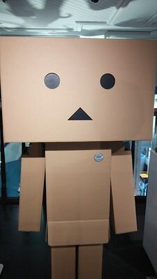 夢の中のこと