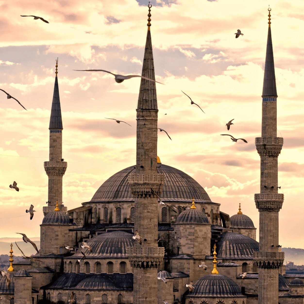 حسبنا الله سيوتينا الله من فضله ءانا الي الله راغبون