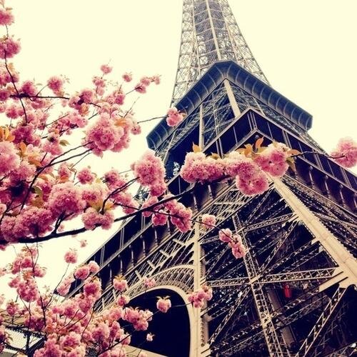I ♥  ALLAH SWT | I Miss Prophet MUHAMMAD SAW | I ♥  My Parents | all my friends | 
# Mention  just for  Follback #