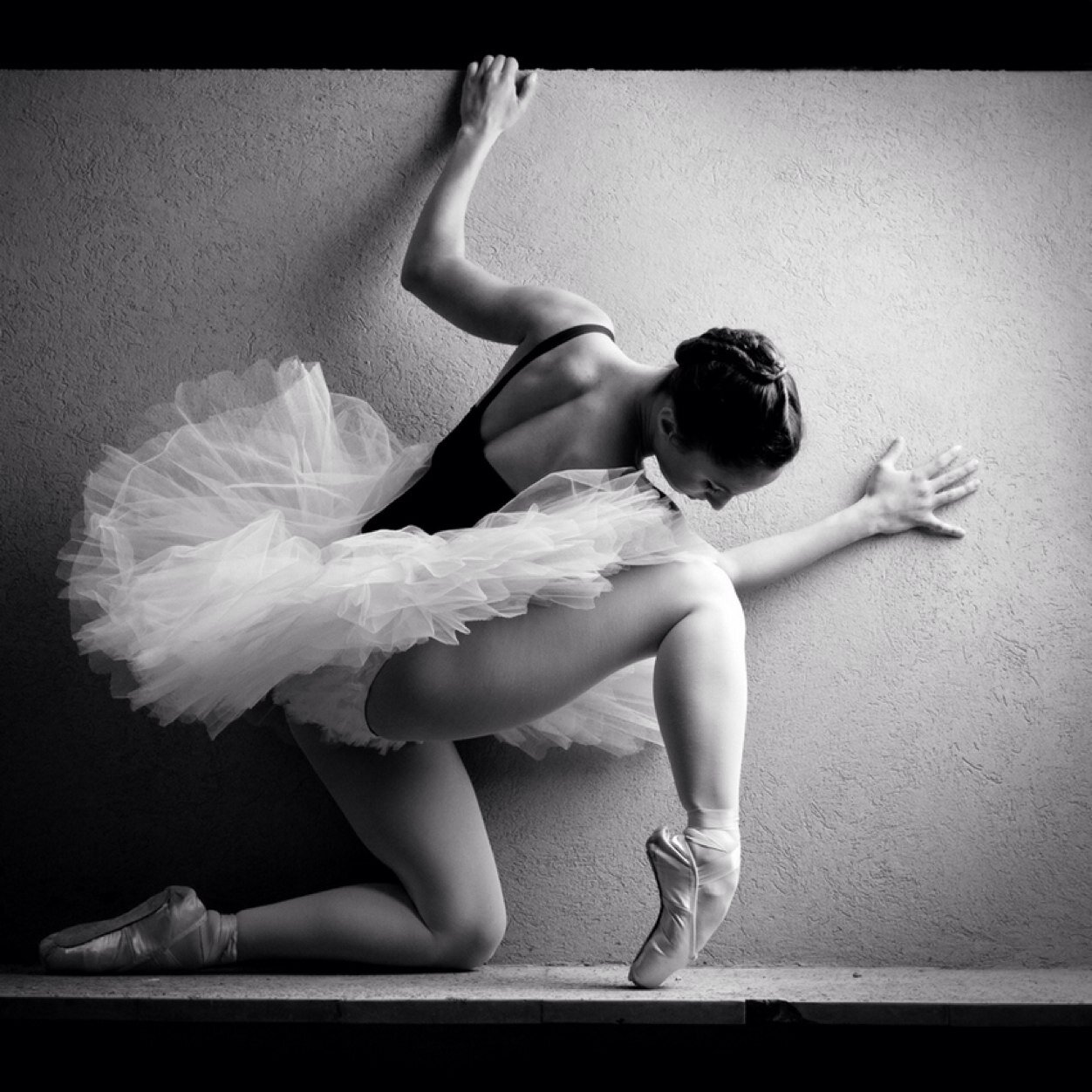 Dancerlife_xoxo's profile picture. I dance because there is no greater feeling in the world than moving to a piece of music and letting the rest of the world disappear