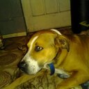 Ernest Leon - @flamingswordman - Twitter