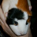 Jon Chastain - @imsthannworkin - Twitter